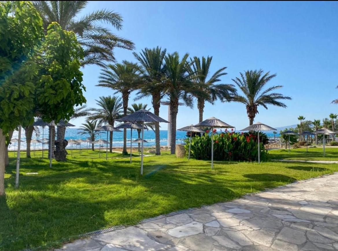 Art * Paphos