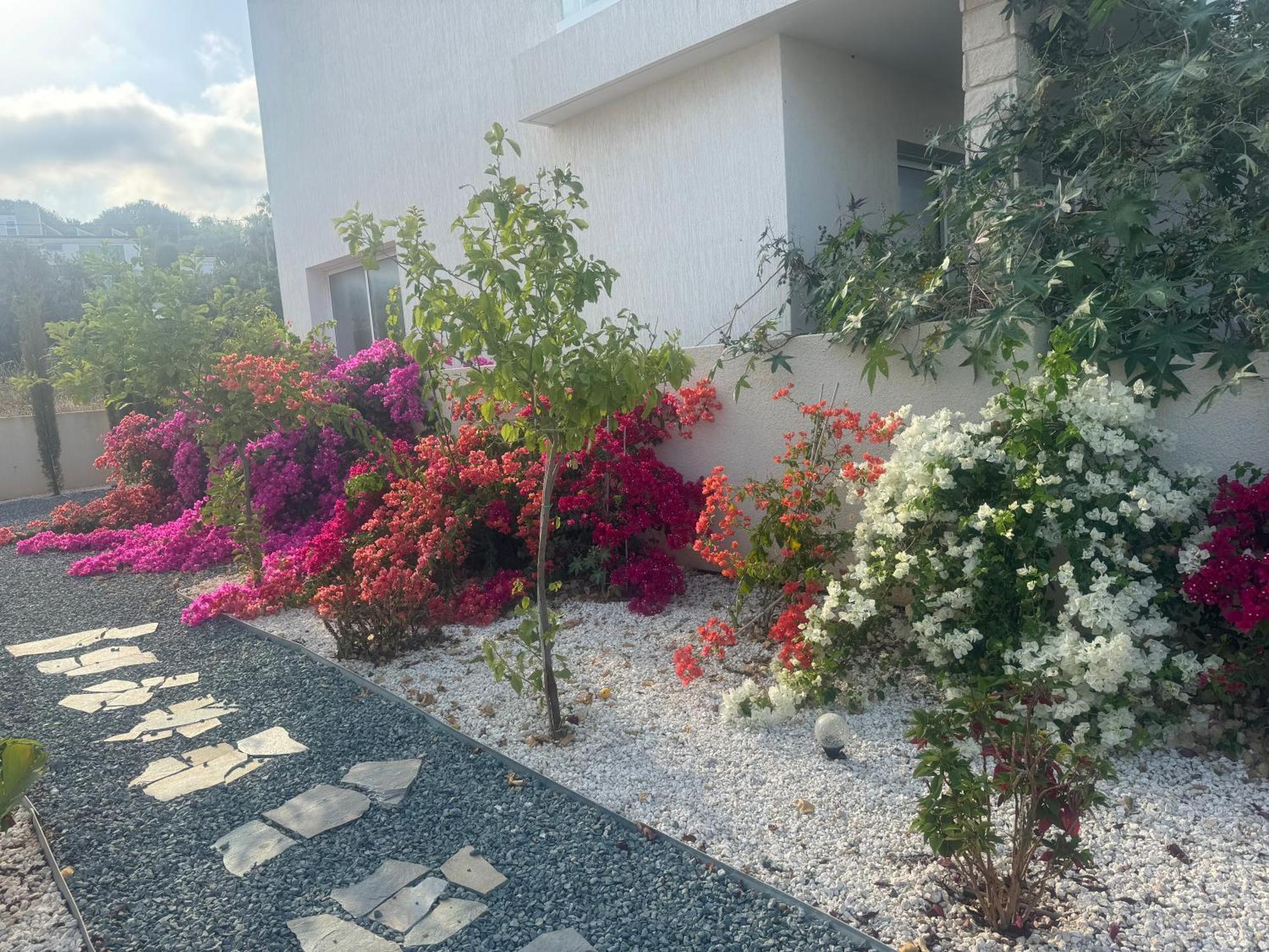 Sea Flowers Village Homestay *