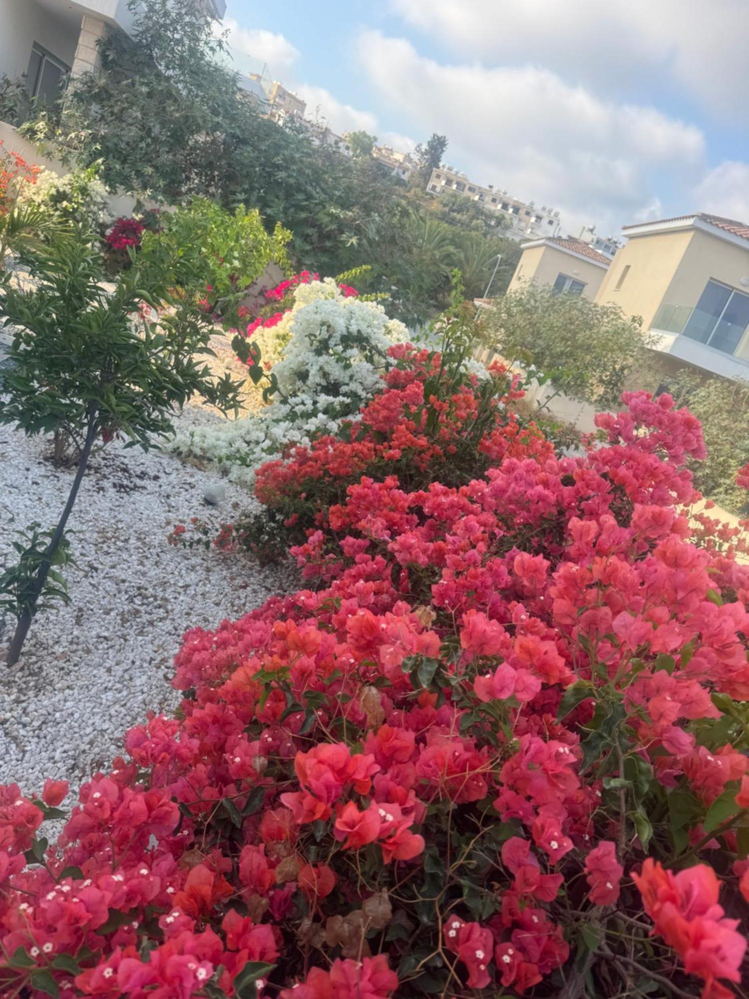 Sea Flowers Village Homestay