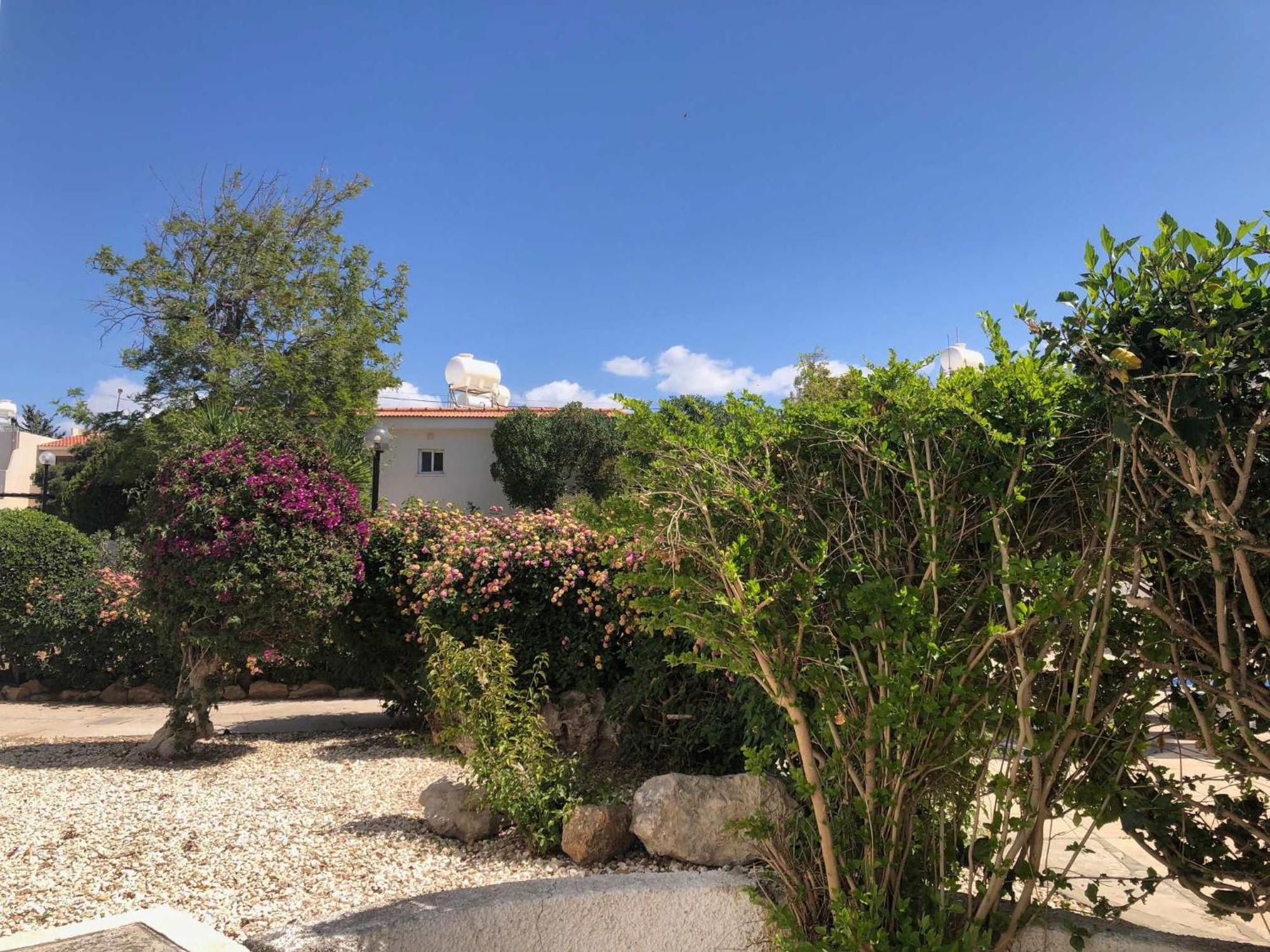 Elegant Beachside - 1 Min Walk To The Paphos