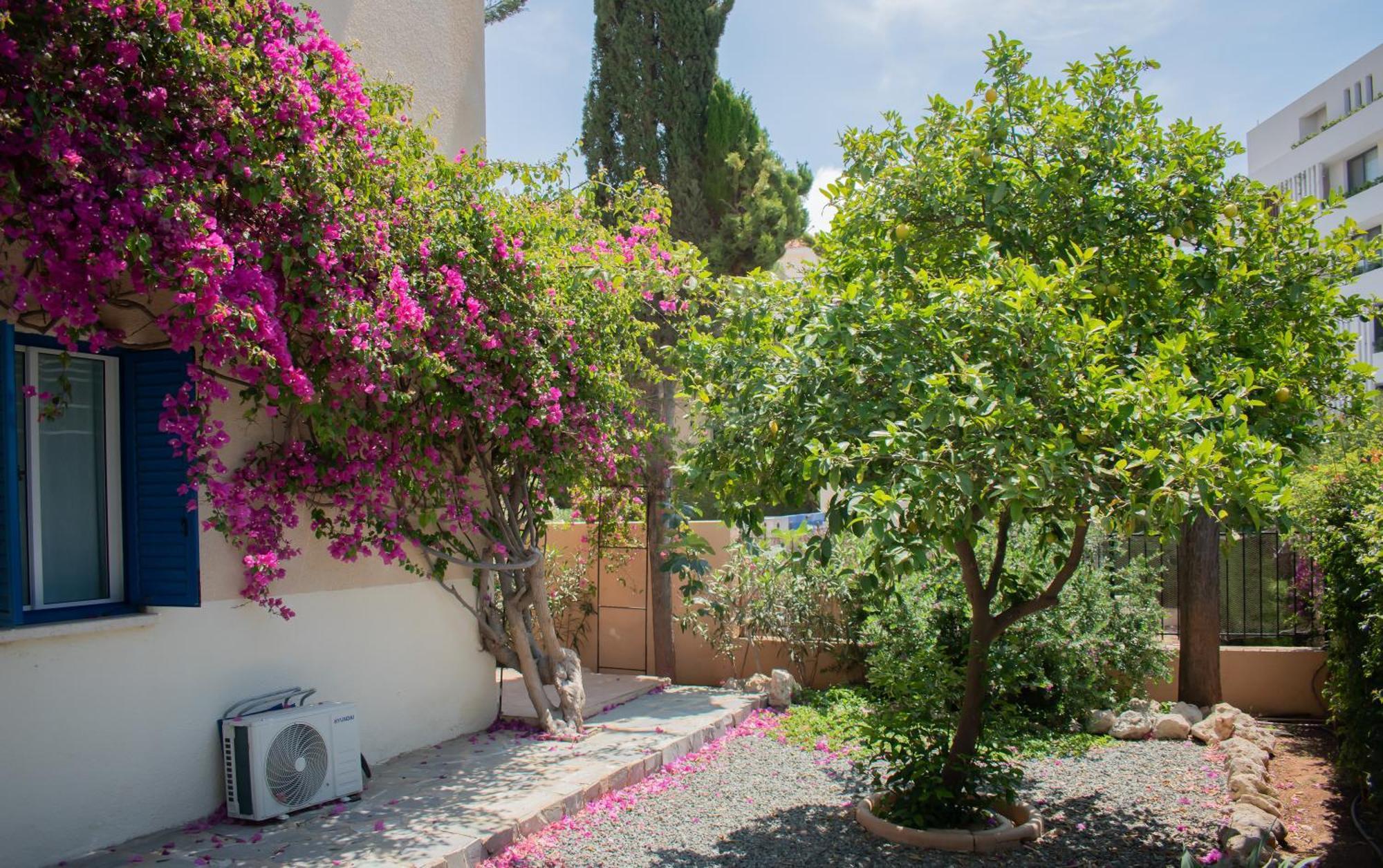 Kings With Private Garden