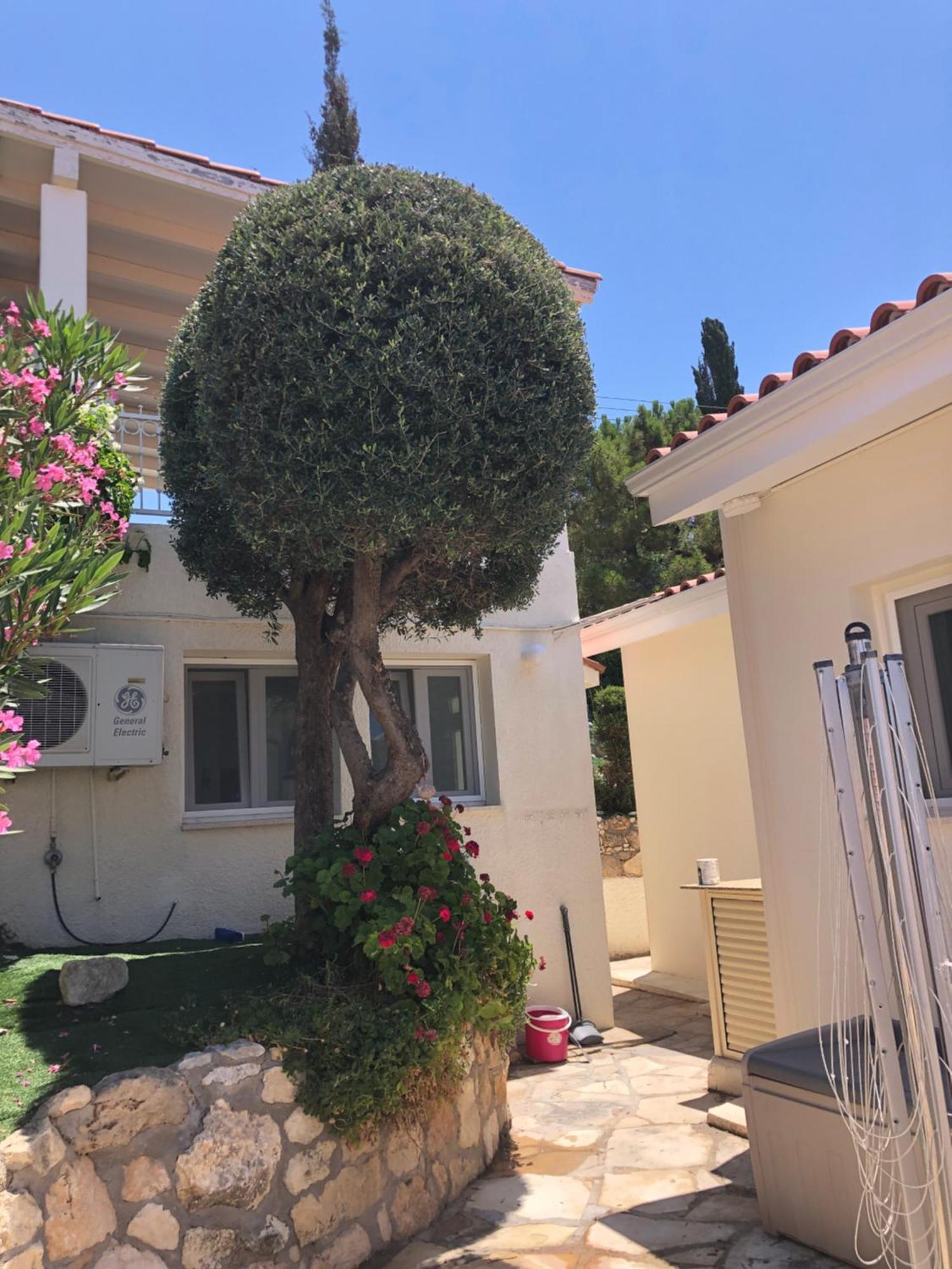 Daria Kamares Tala Luxury Sea View * Paphos