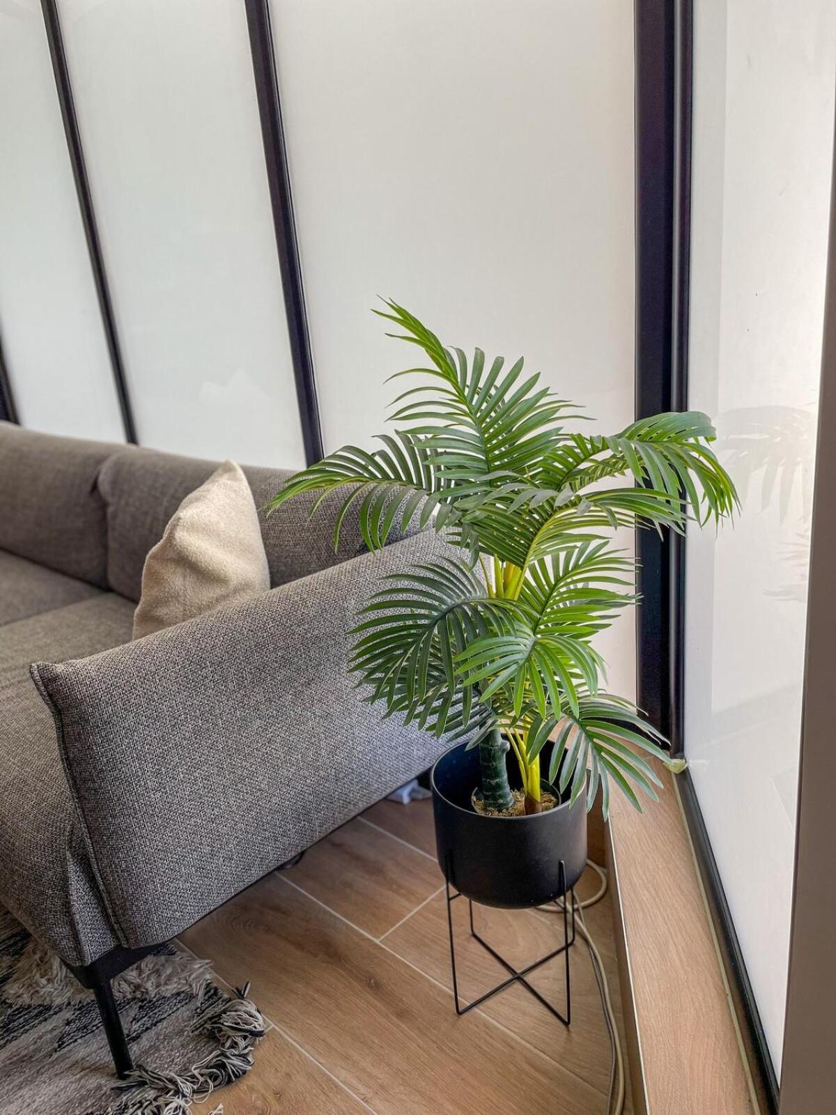 Apartment Modern 3 Bedroom Townhouse With Patio Paphos