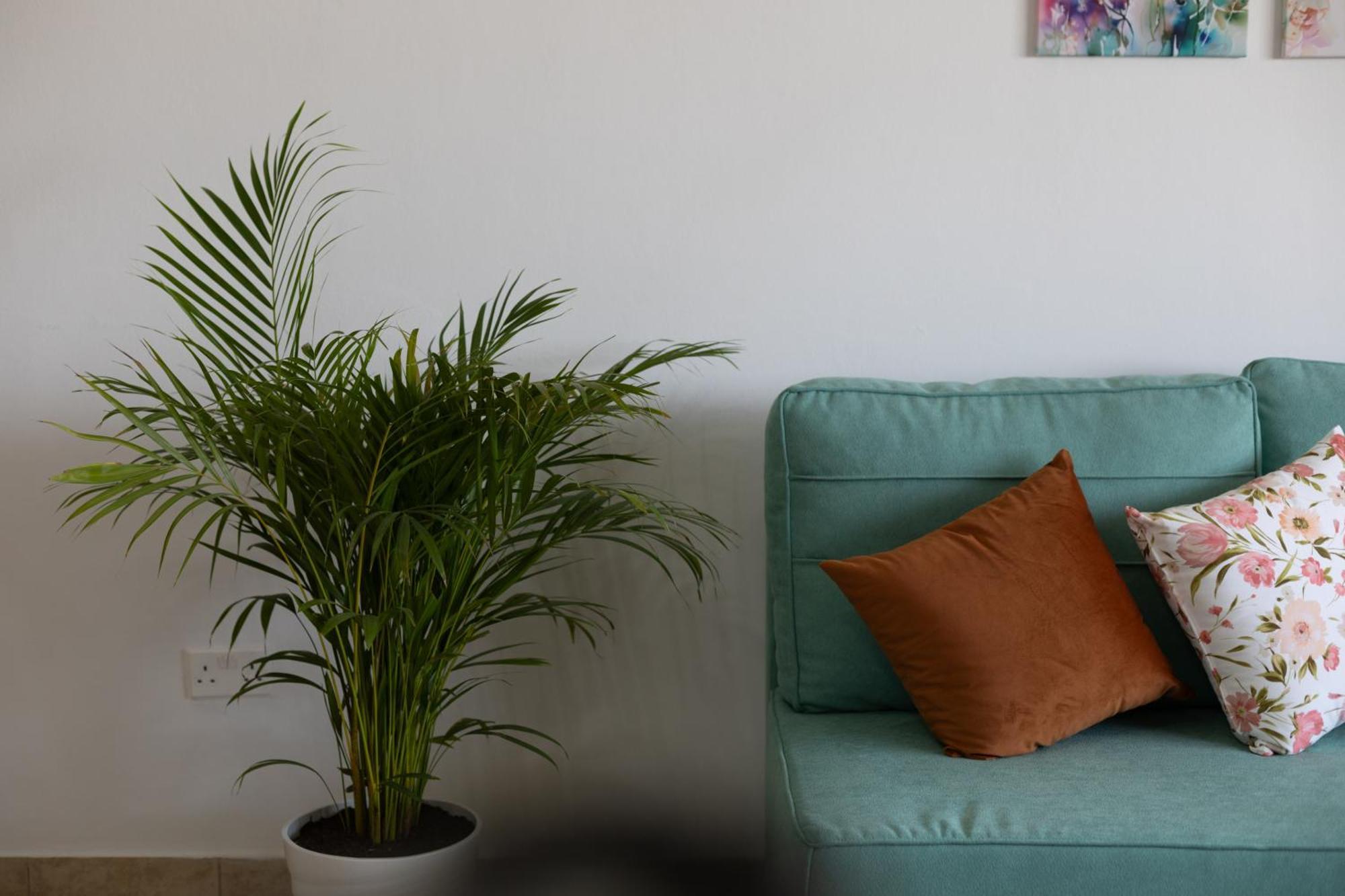 Cozy In The Heart Of Tourist Area With Pool * Paphos