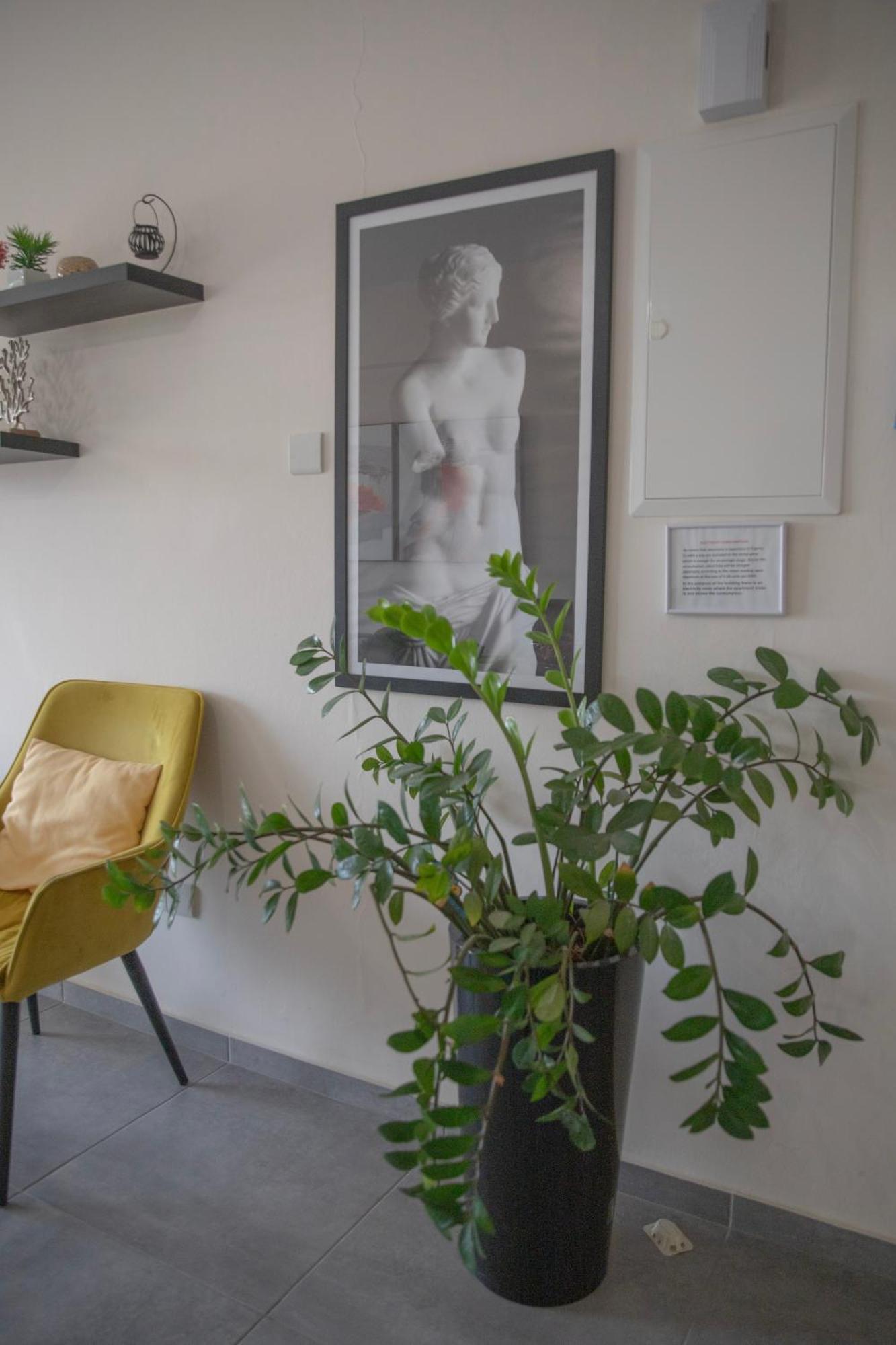 1-2bd Apartment *