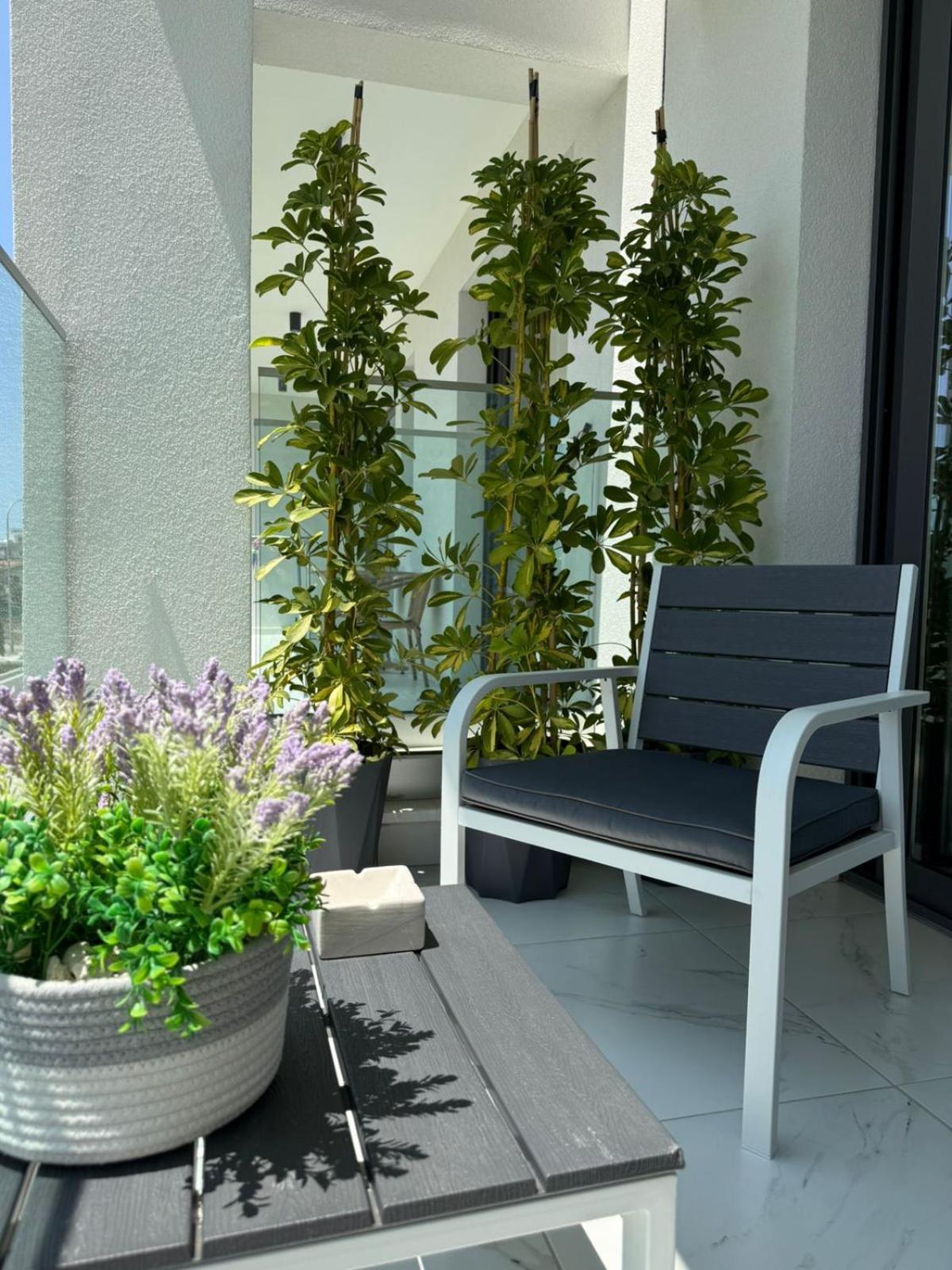 Apartment Chill And Stay-luxury In Kato *