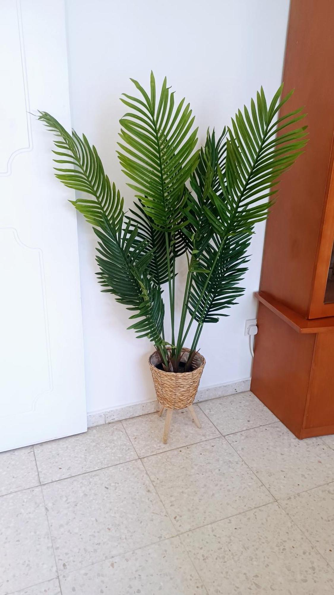 Spacious 2 Bedroom Near Mall -internet 1gbps * Paphos