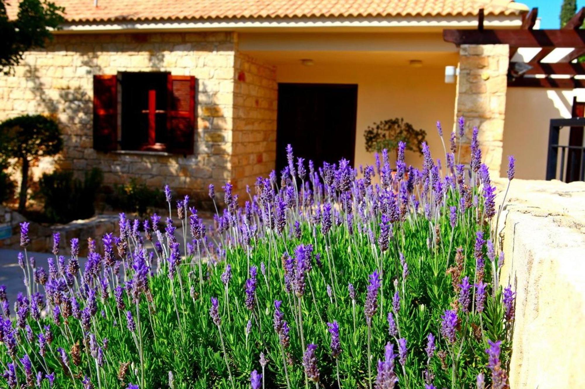 Aphrodite Hills Superior Superior 0066 Air Conditioning 3 Bedrooms Villa Paphos
