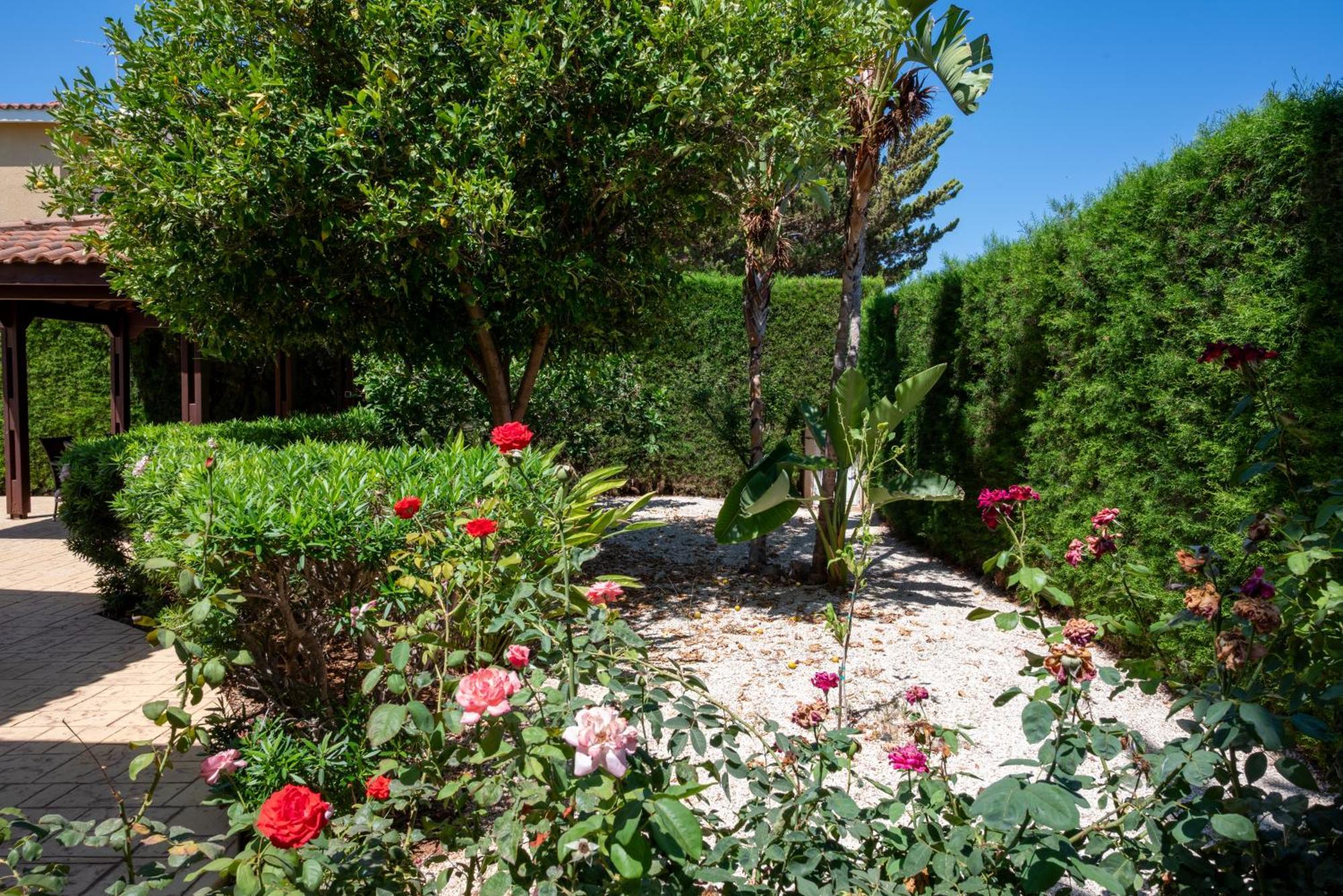 Villa Aspasia In Peyia, Private Pool & 3 Ensuite Bedrooms