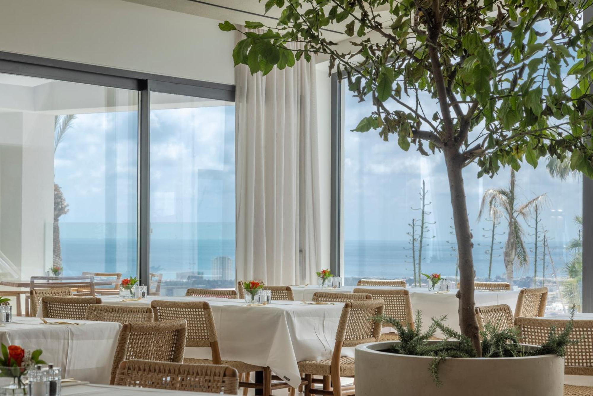 Hotel Hills & By Brown Paphos