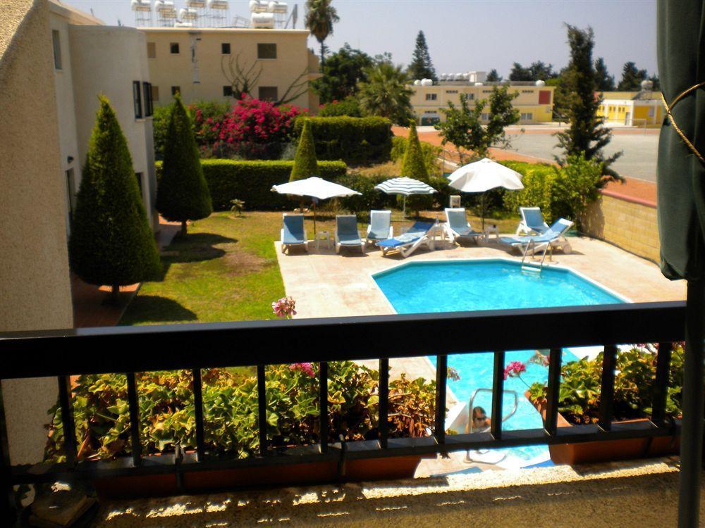 Lefki Tree Tourist Paphos