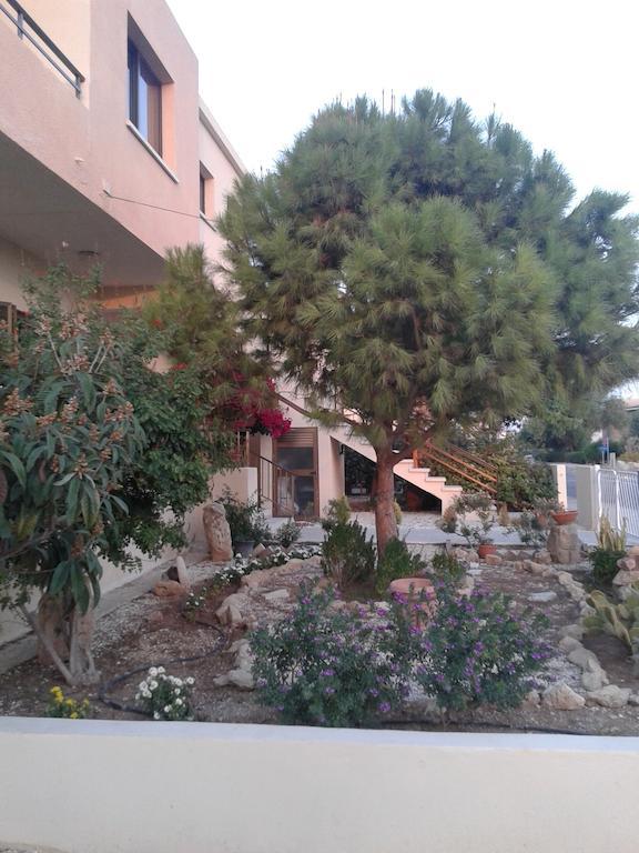 Arilena Paphos