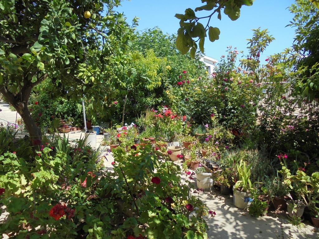 Apartment Niki Court Paphos