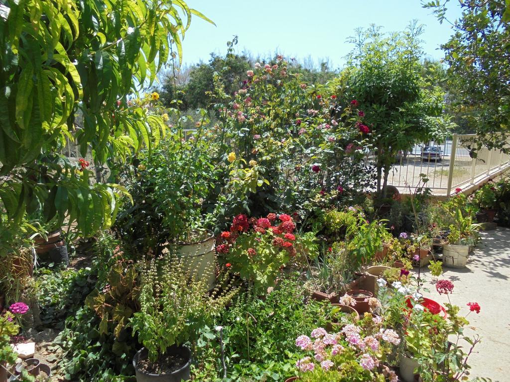 Apartment Niki Court Paphos