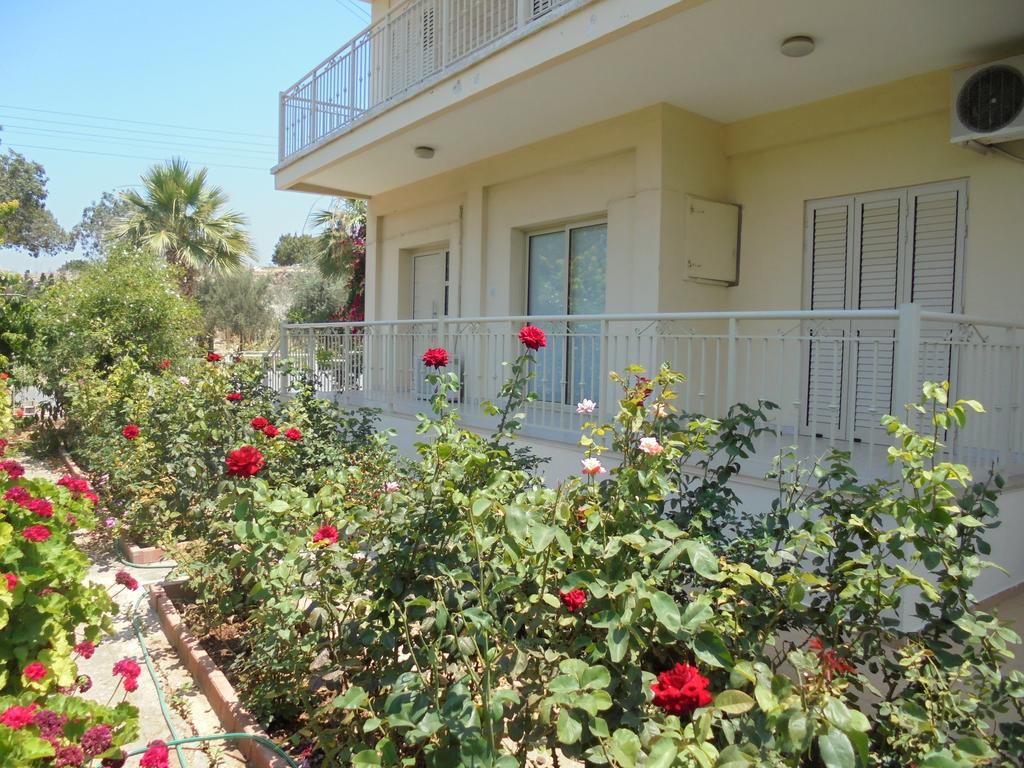 Niki Court