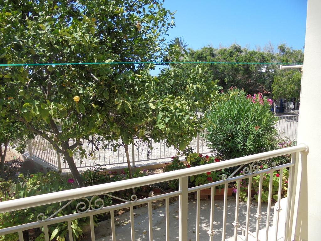 Niki Court Paphos