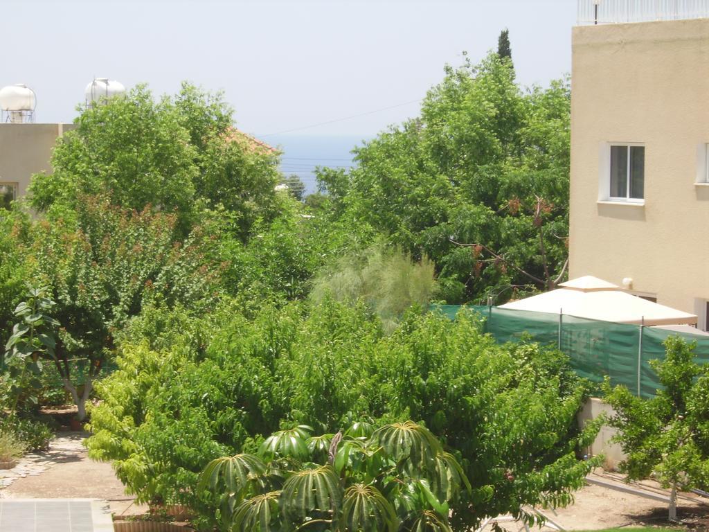 Apartment Kissonerga *