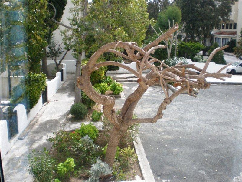 Gardens Paphos