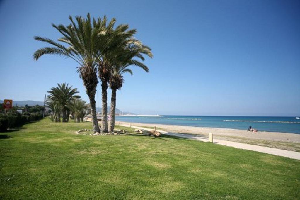 Pafia Paphos