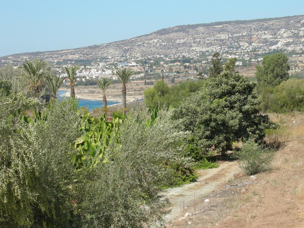 Despoina Villa *