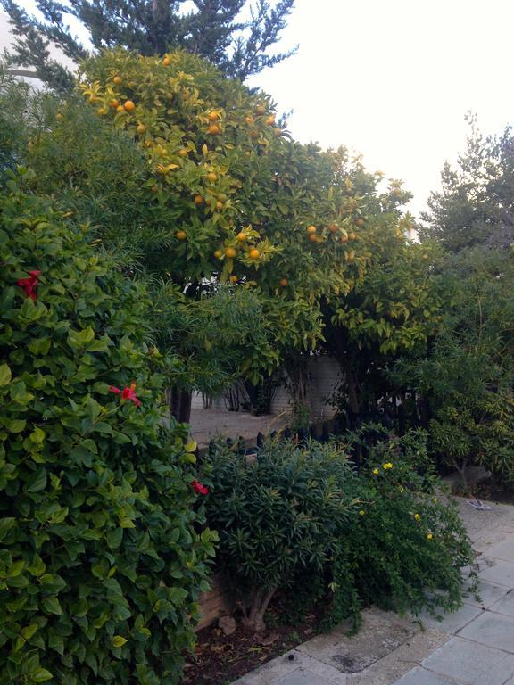 Apartment Paphos Studios