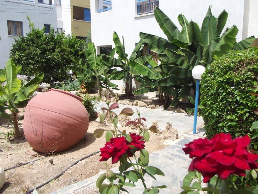 Kefalonitis Aparthotel 3*