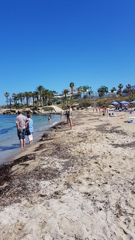 Jasmin Gardens * Paphos