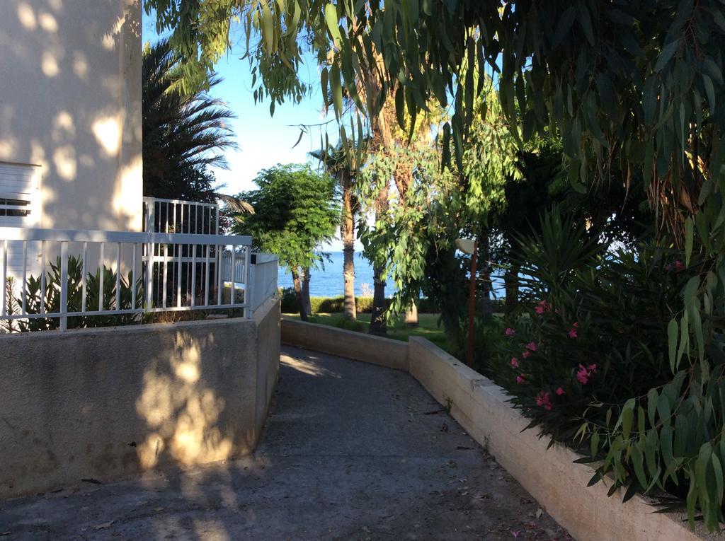 King Alexander * Paphos