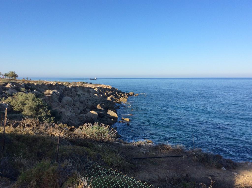 King Alexander Paphos