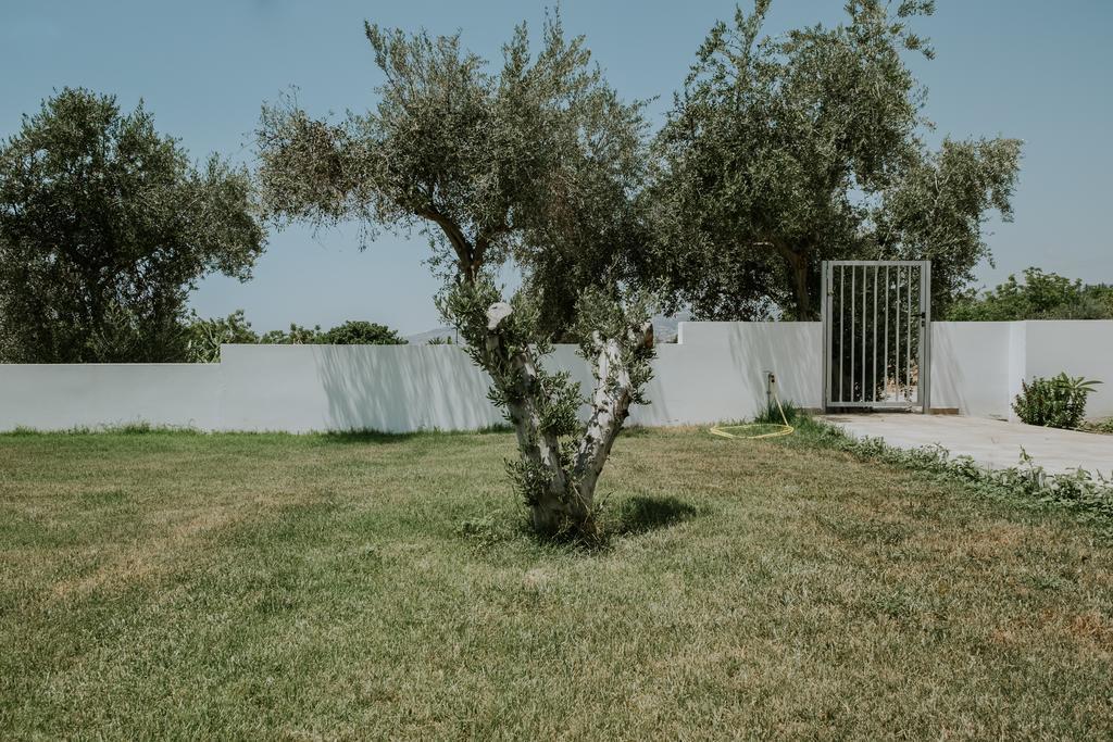 Despoina Paphos