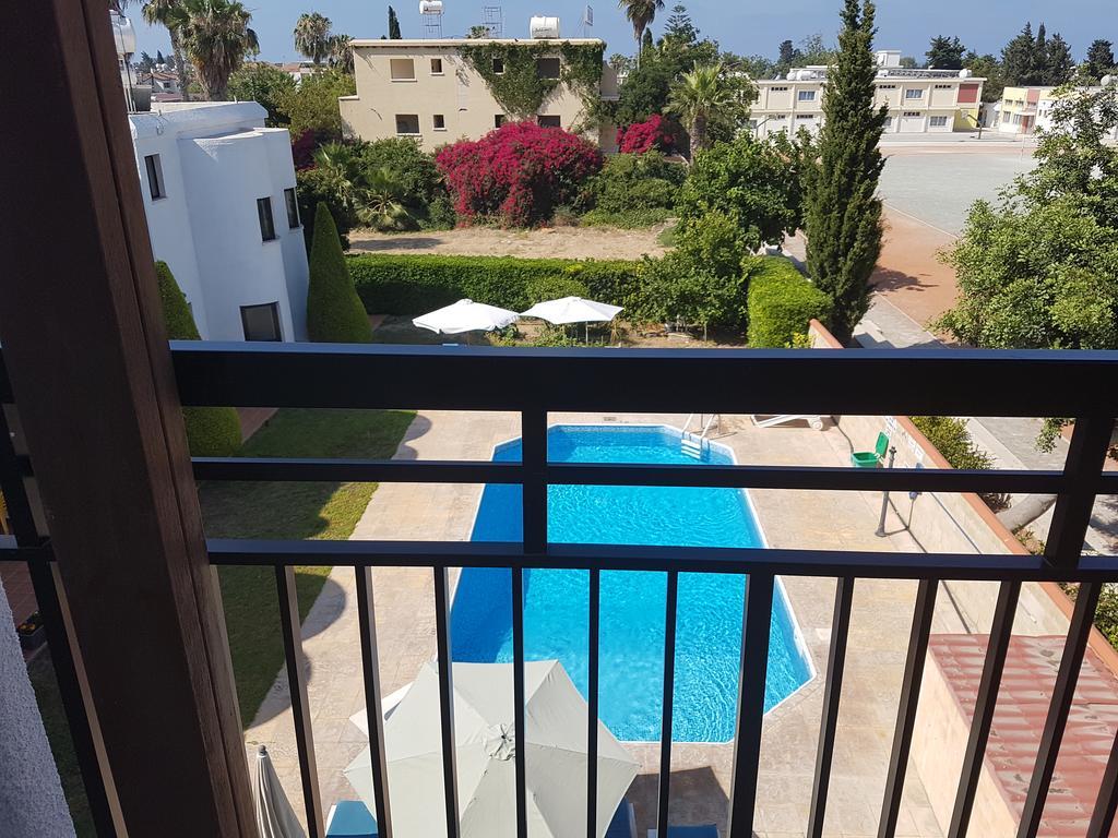 Lefki Tree Tourist Paphos