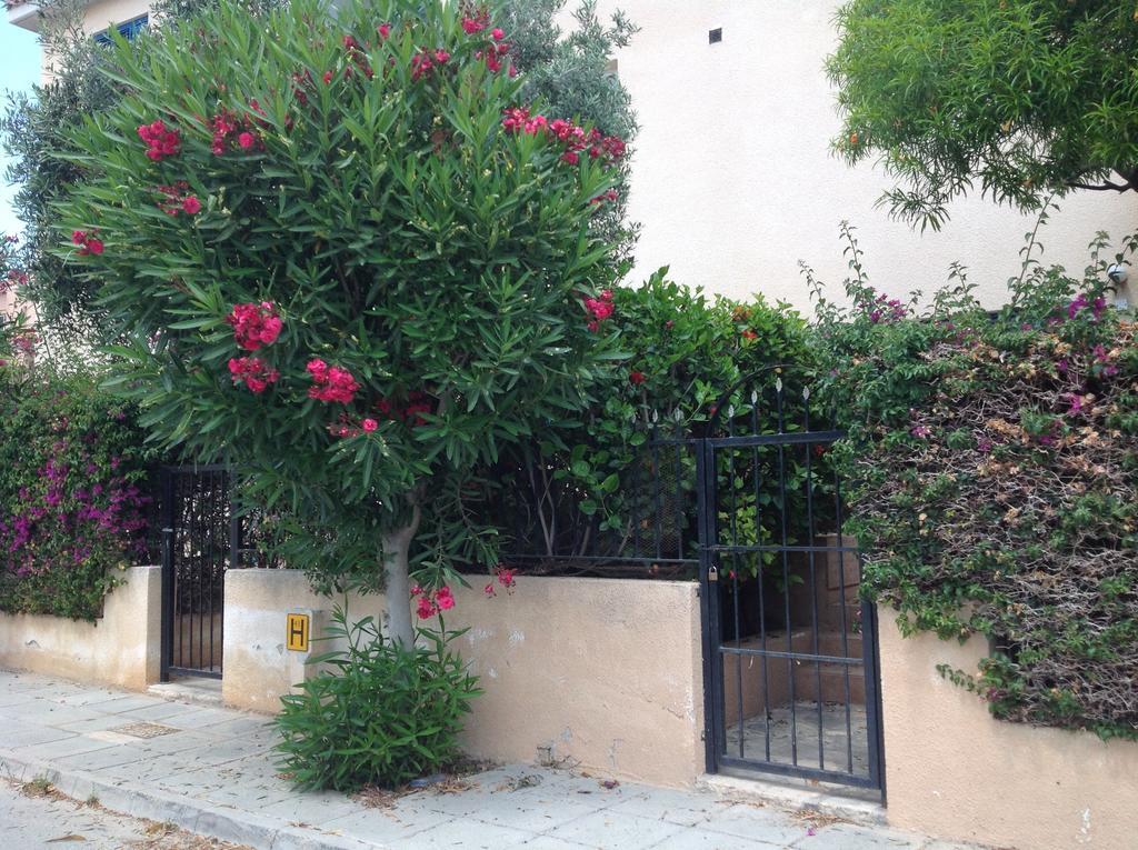 Kings With Private Garden * Paphos