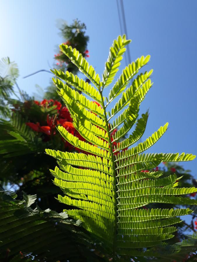 Paradise Gardens Paphos