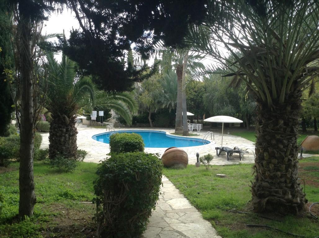 Danae * Paphos