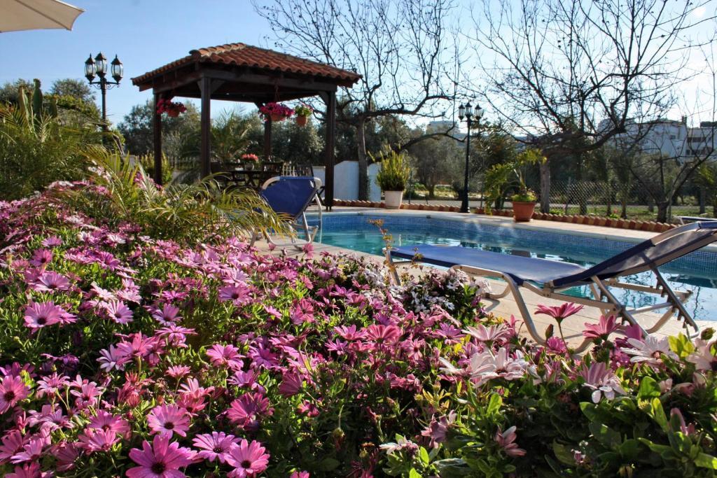 Villa Paradise