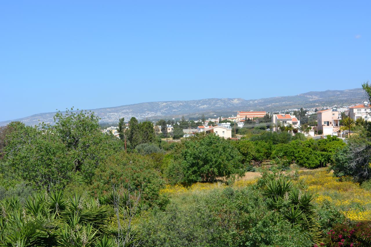 Lilia * Paphos