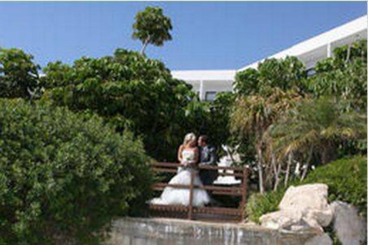 Avanti Paphos