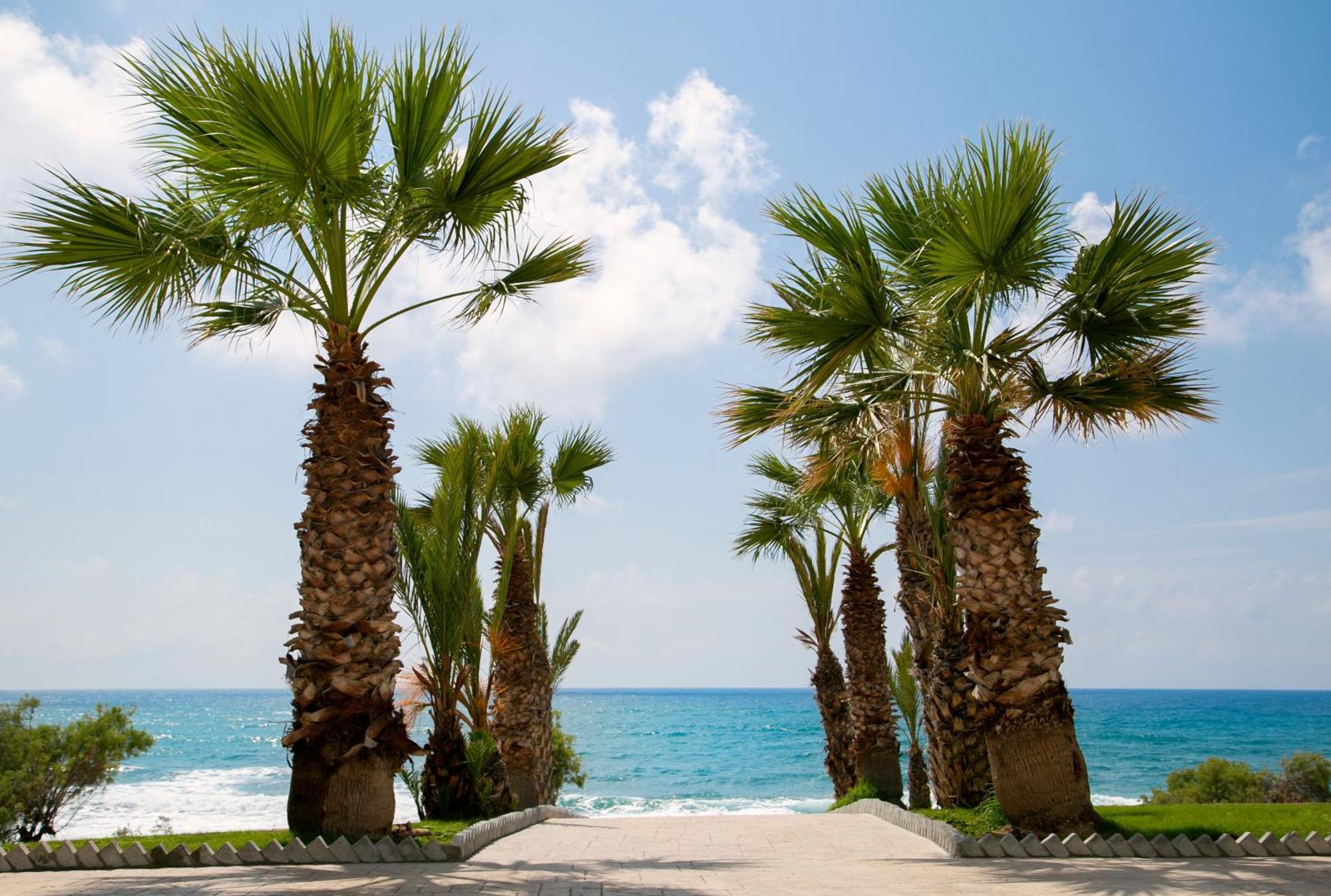 Louis Paphos Breeze 4* Klorakas