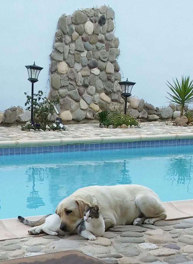 Catherine's Paphos