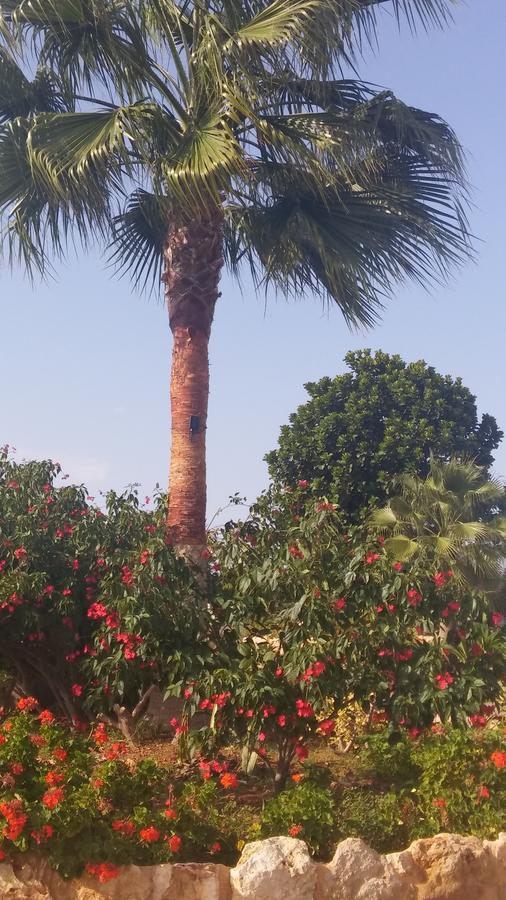 Catherine's Paphos