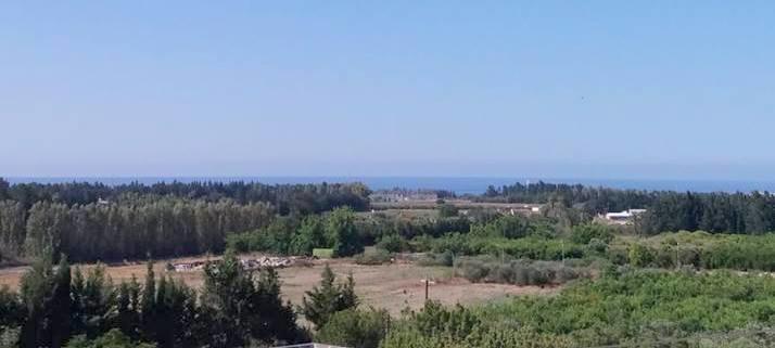 Alina Holiday * Paphos