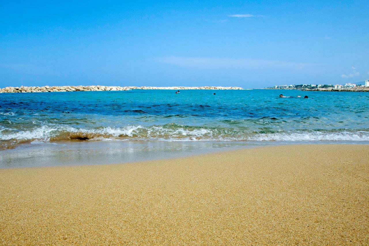 Venus Beach Hotel