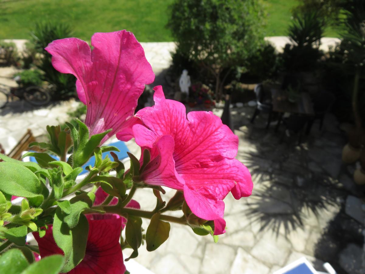 Paradise Gardens * Paphos