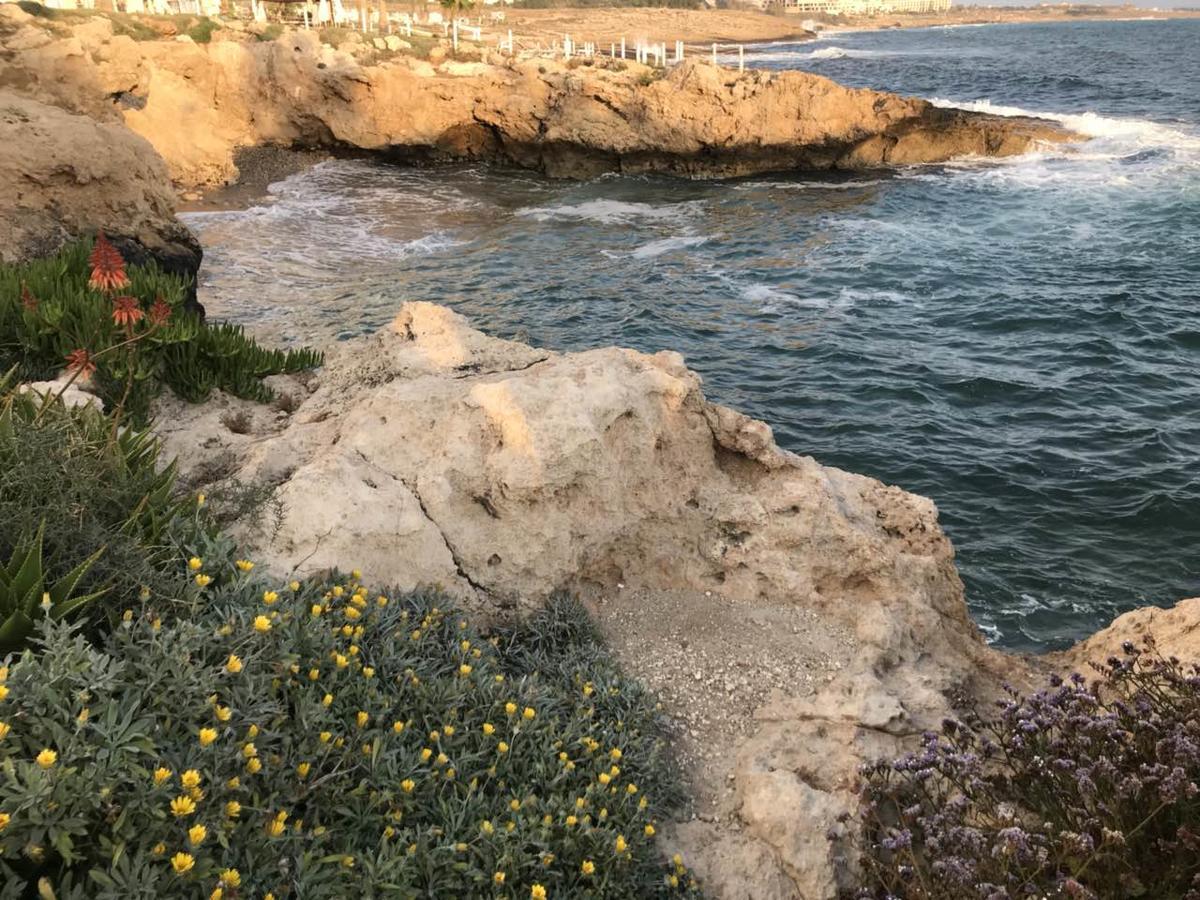 Ikaria Village , 202 Paphos