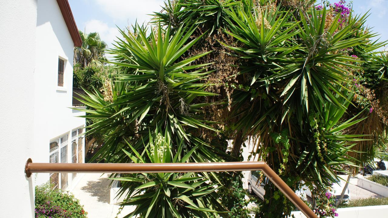 Limnaria Westpark 129 Paphos