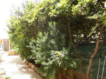 Aparthotel Panklitos Tourist 2*