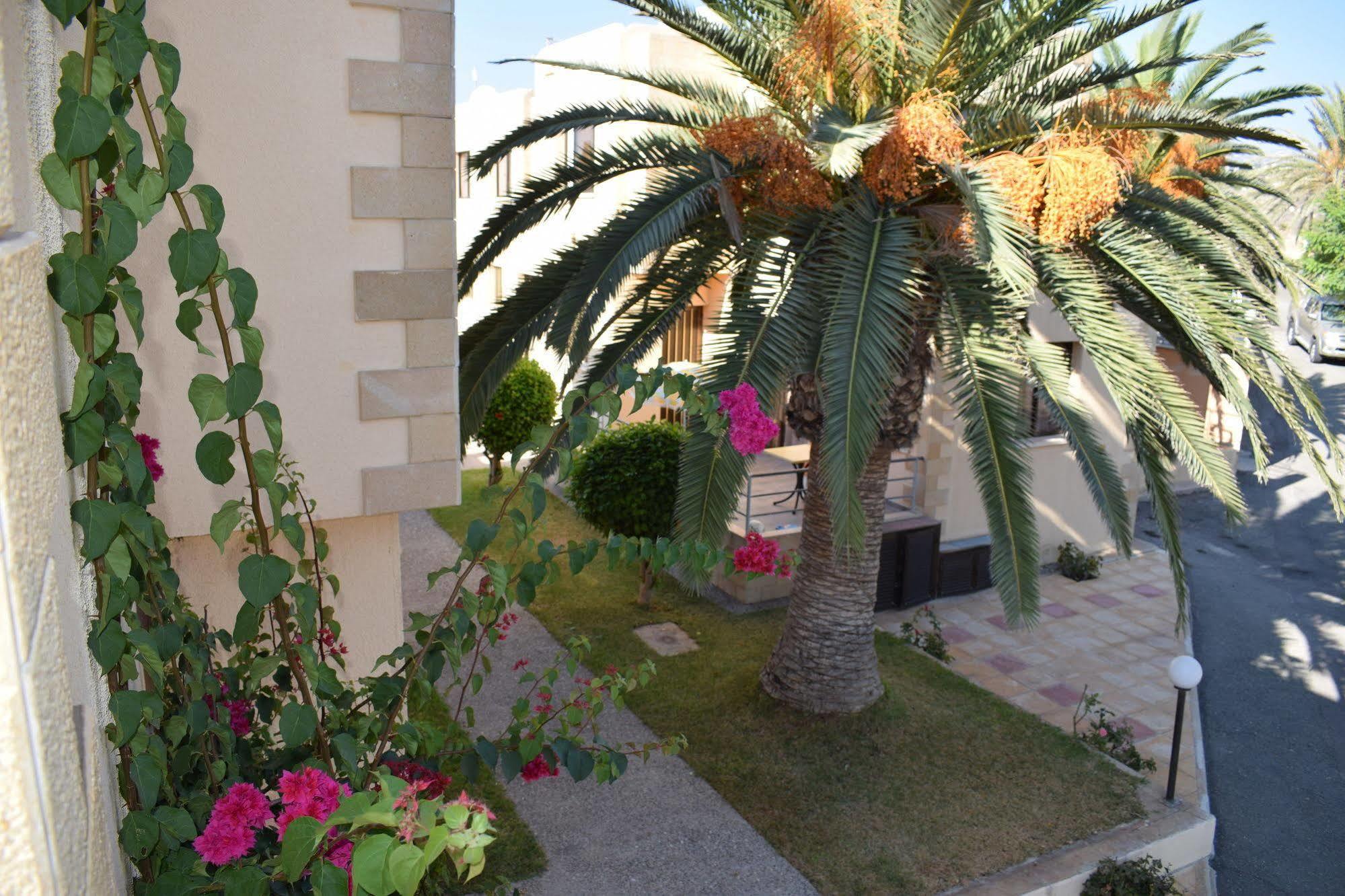 Dimma Seaside Houses Apartment *