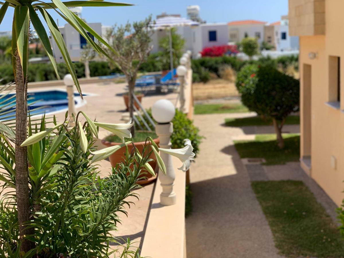 Dimma Seaside Houses * Paphos