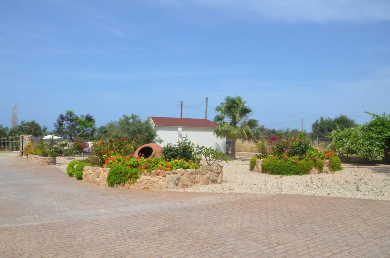 Catherine's Paphos