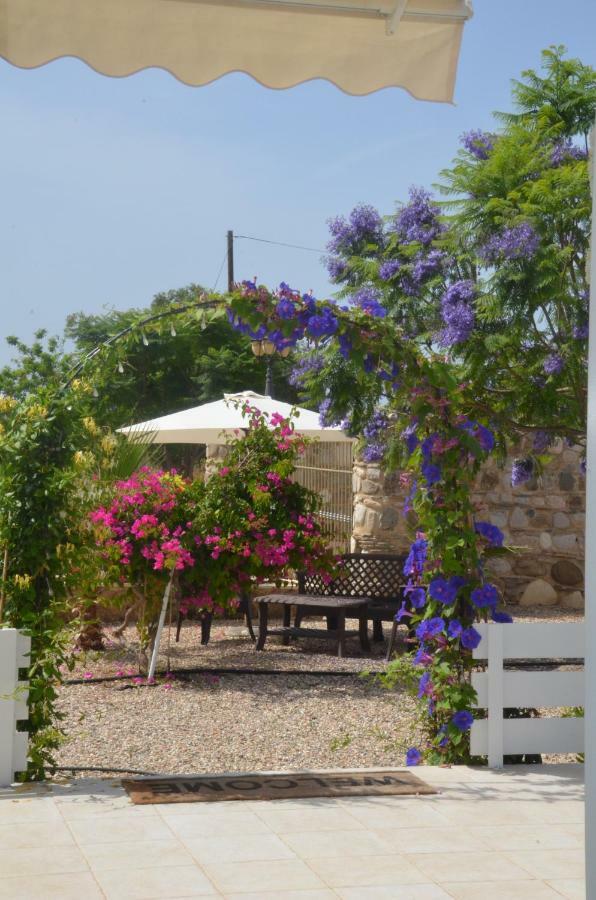 Catherine's Paphos